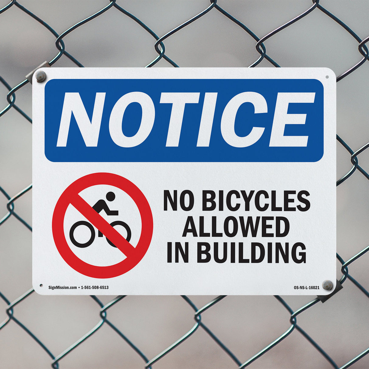 No Bicycles Allowed