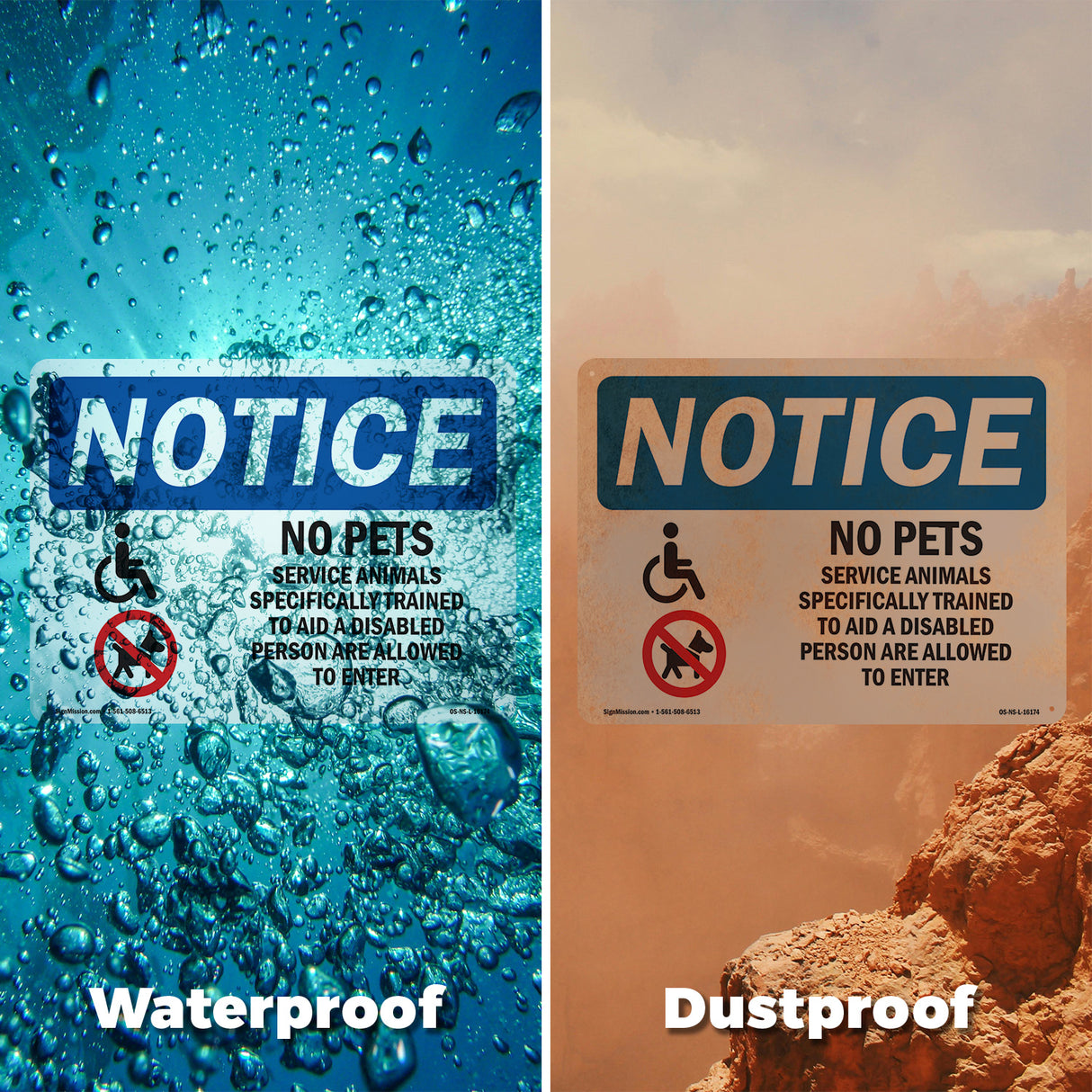 No Pets Service Animals