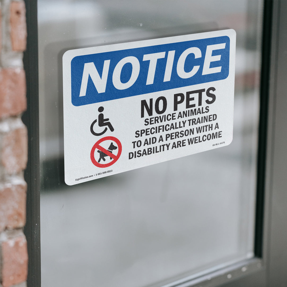 No Pets Allowed Service