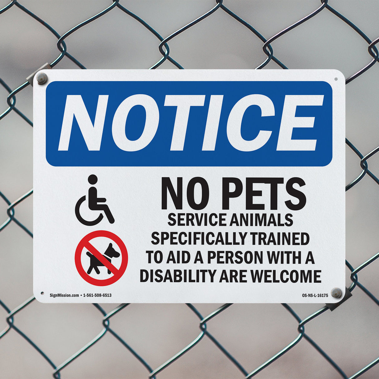 No Pets Allowed Service