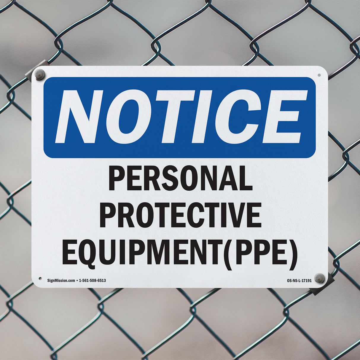 Personal Protective Equipment (PPE)