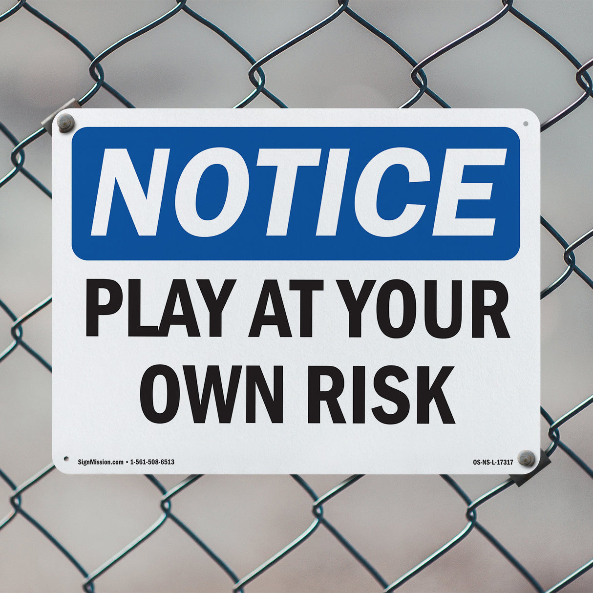 Play At Your Own Risk