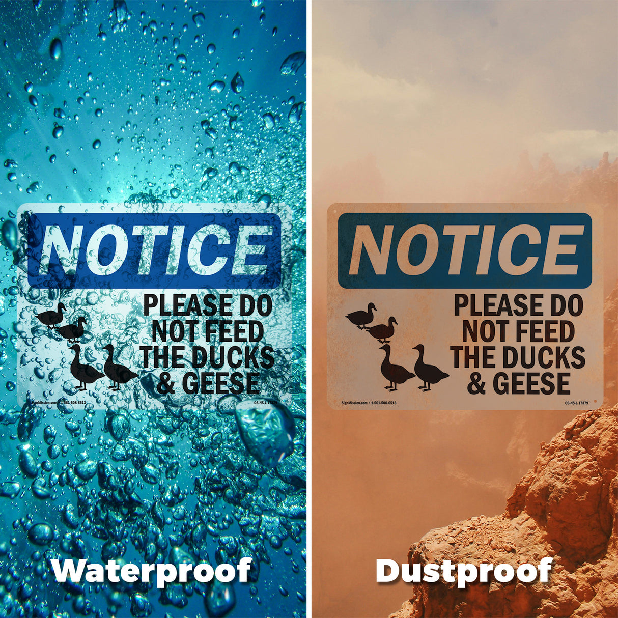 Please Do Not Feed