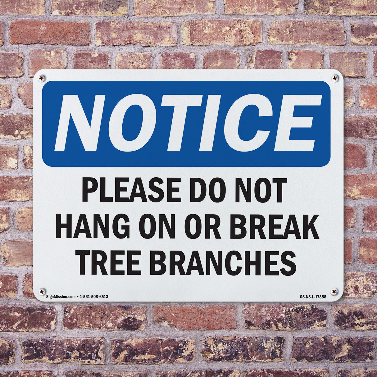 Please Do Not Hang On Or Break