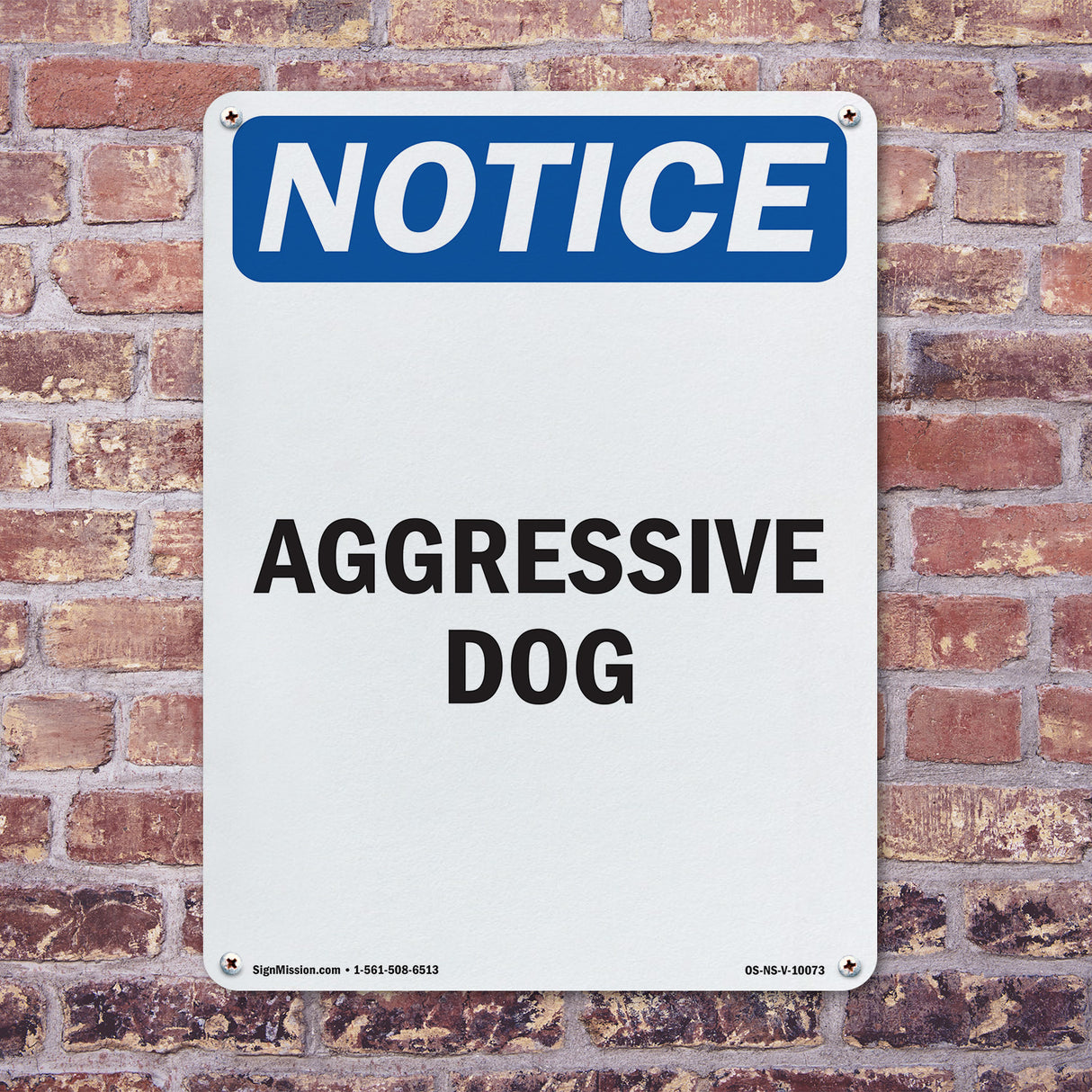 Aggressive Dog