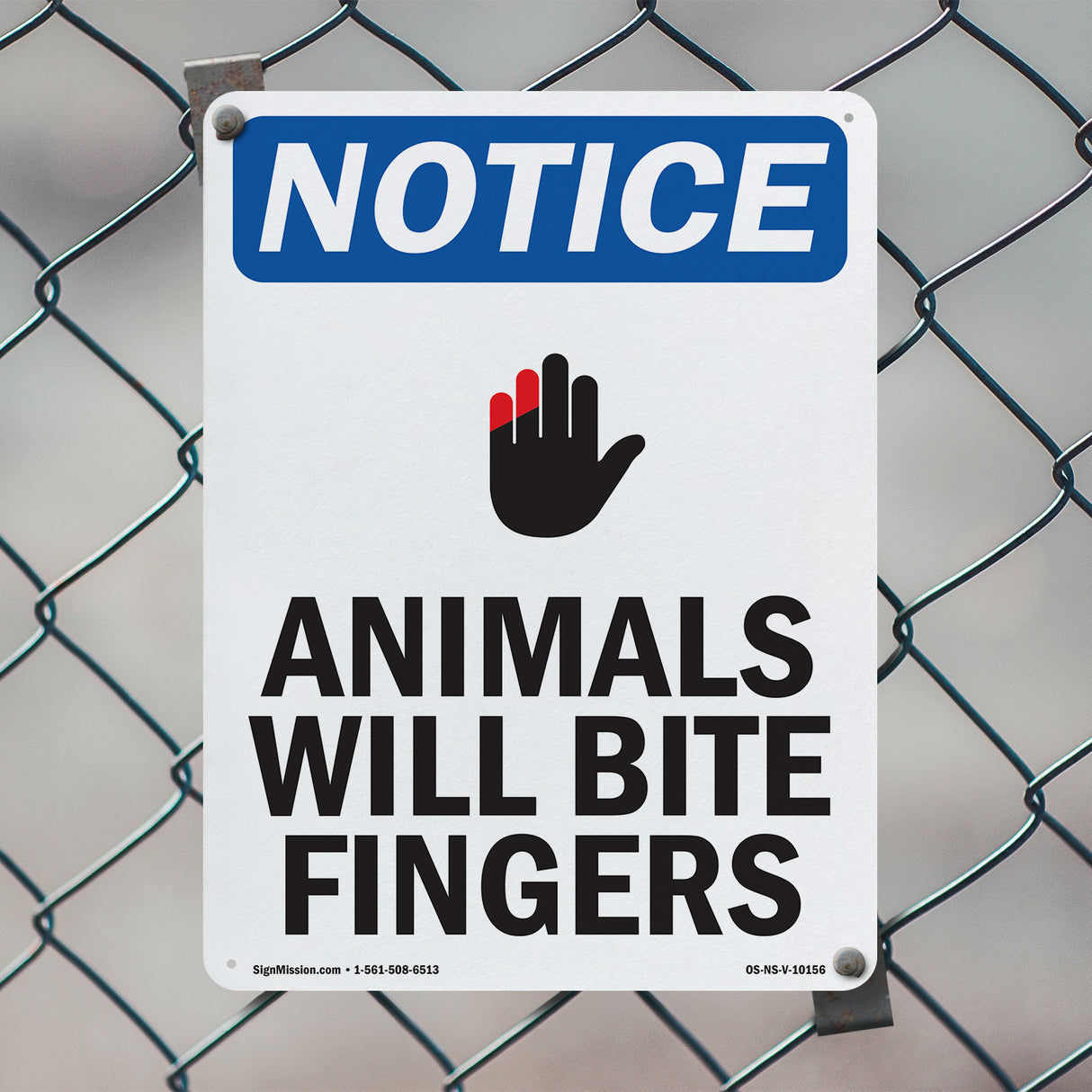 Animals Will Bite Fingers