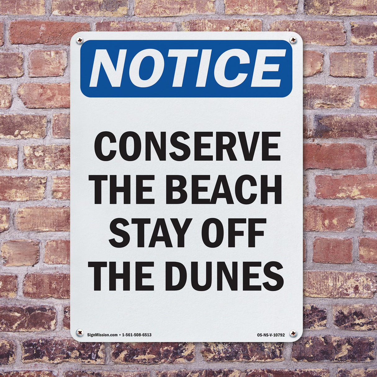 Conserve The Beach Stay Off The Dunes
