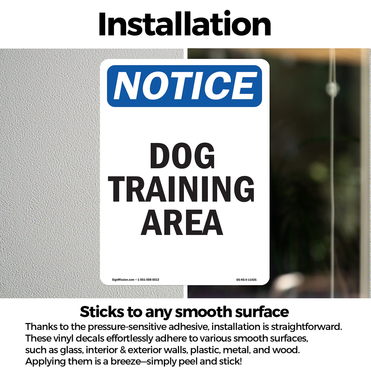 Dog Training Area