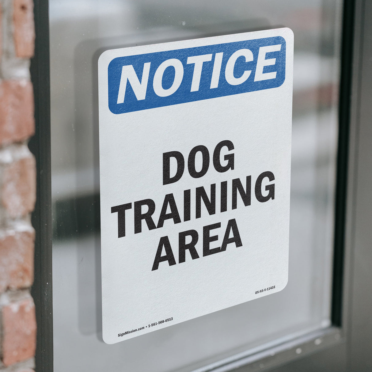 Dog Training Area