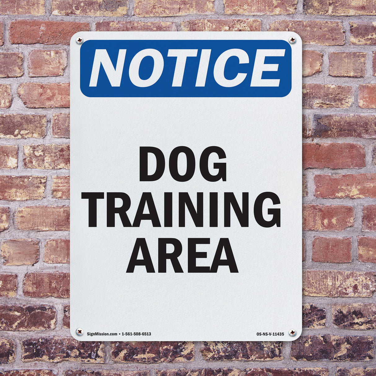 Dog Training Area