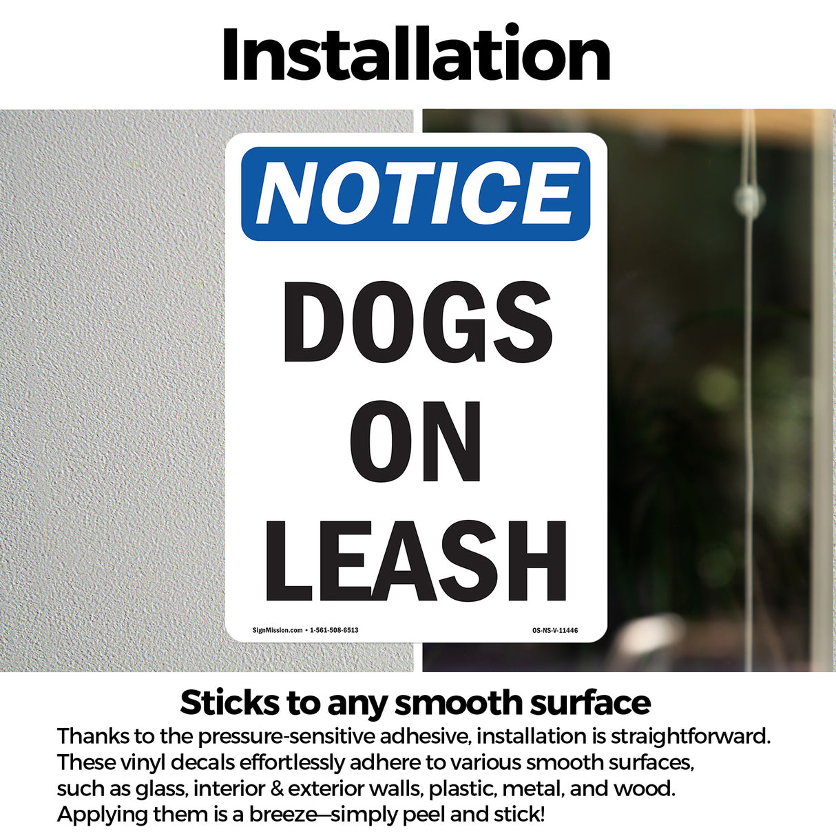 Dogs On Leash