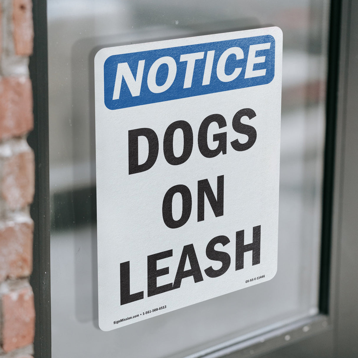 Dogs On Leash