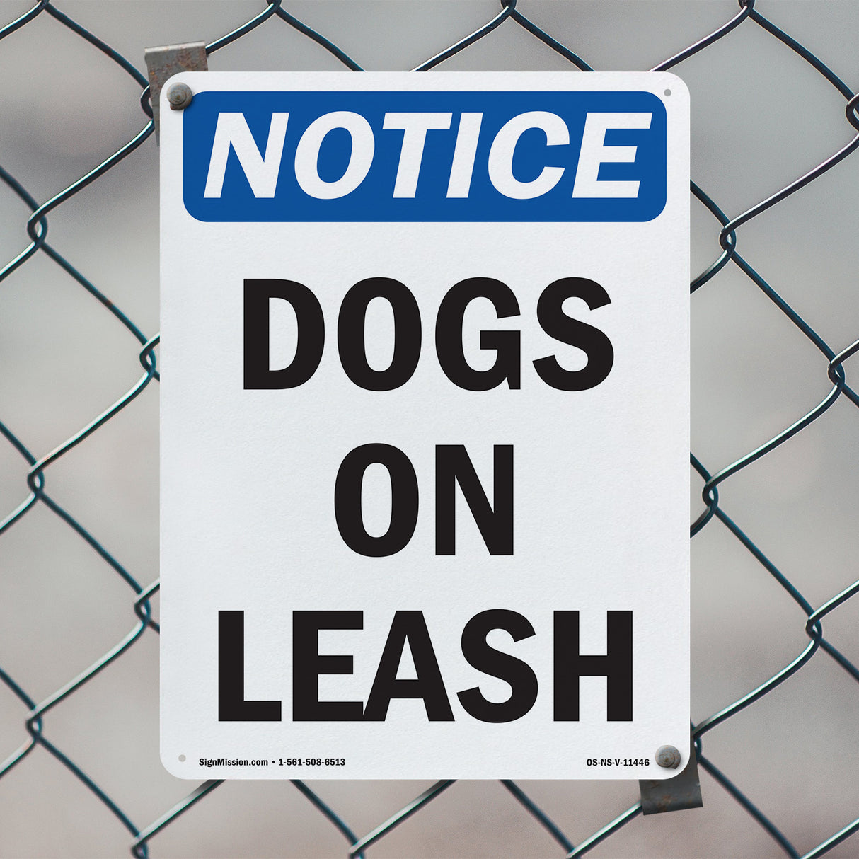 Dogs On Leash