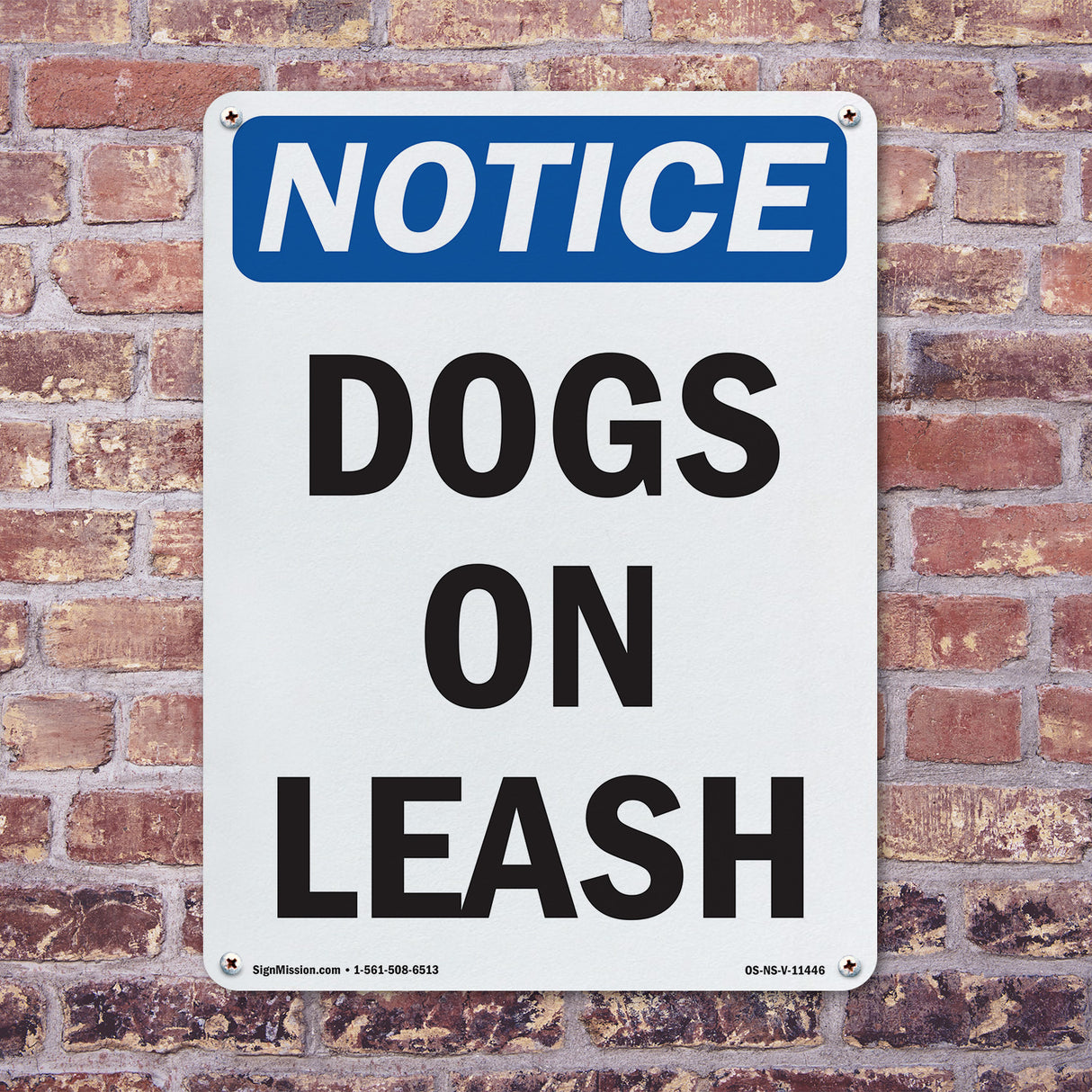 Dogs On Leash