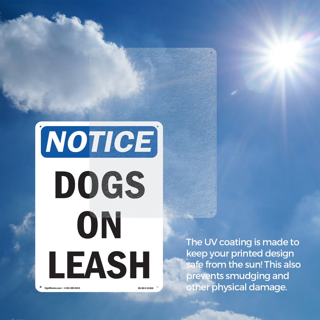 Dogs On Leash