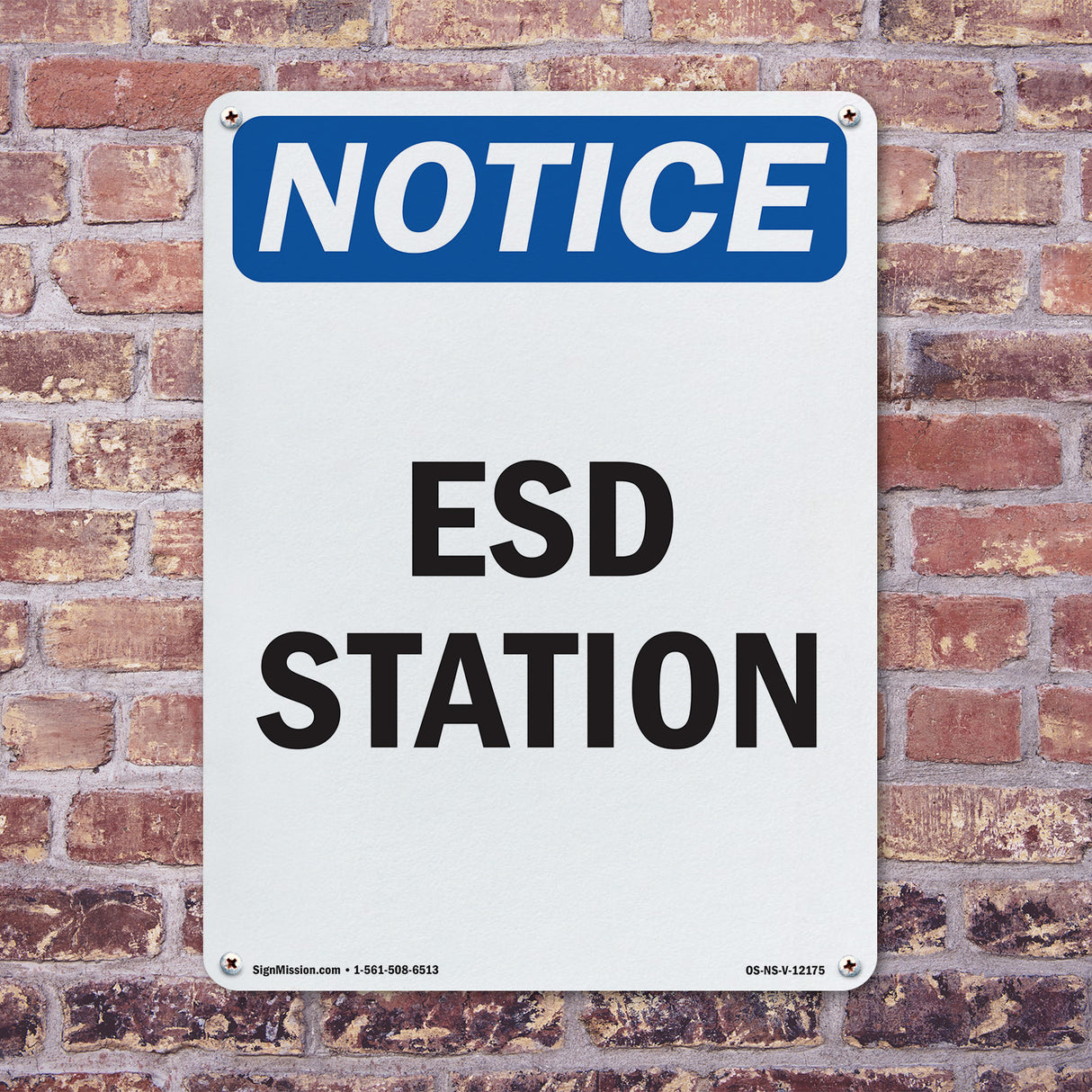 ESD Station