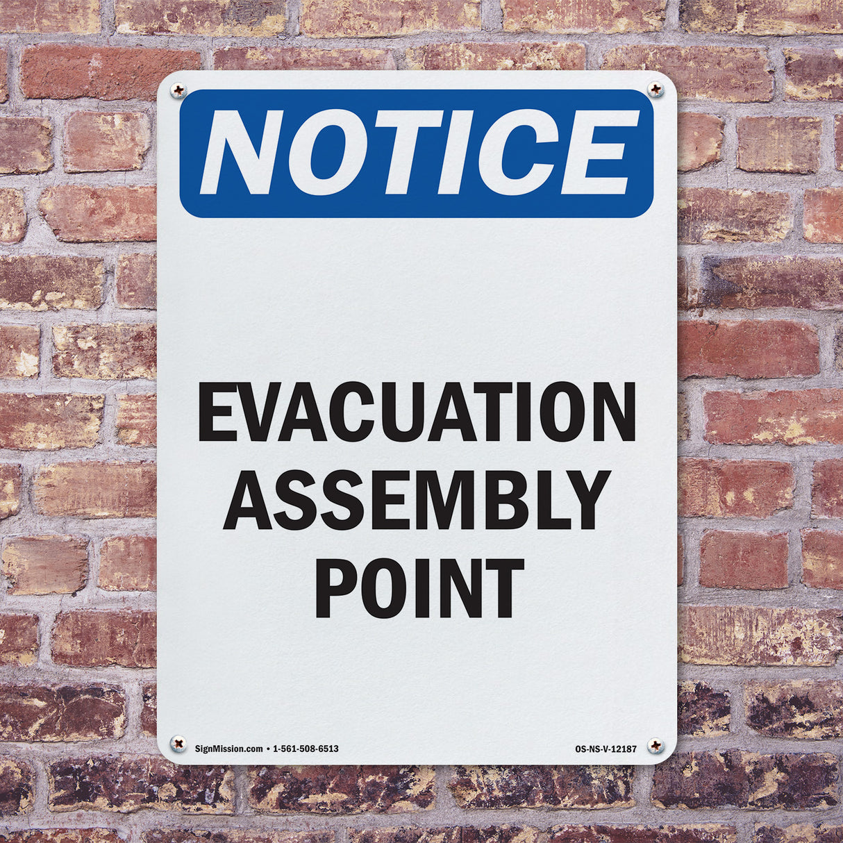 Evacuation Assembly Point