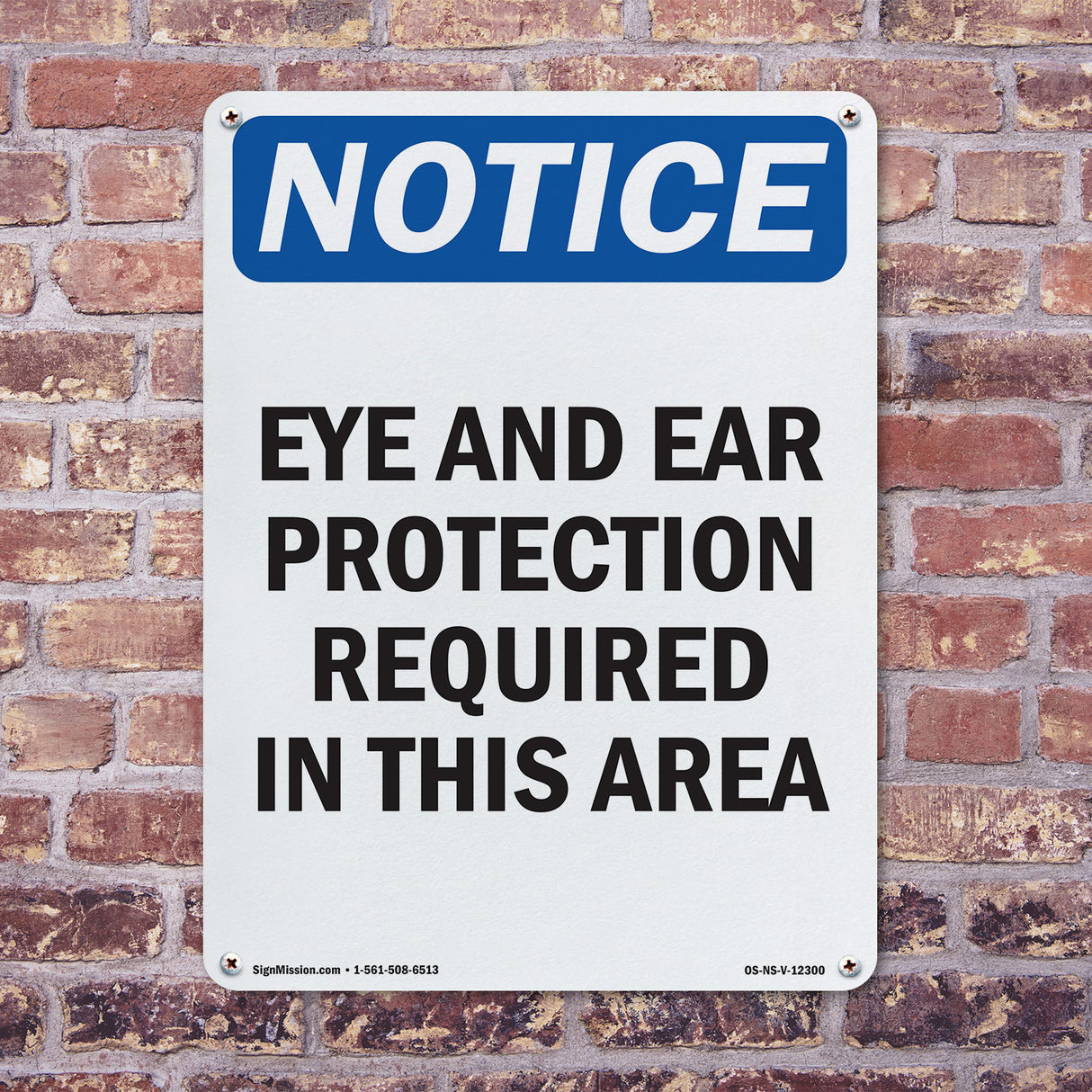 Eye And Ear Protection Required In This Area Sign