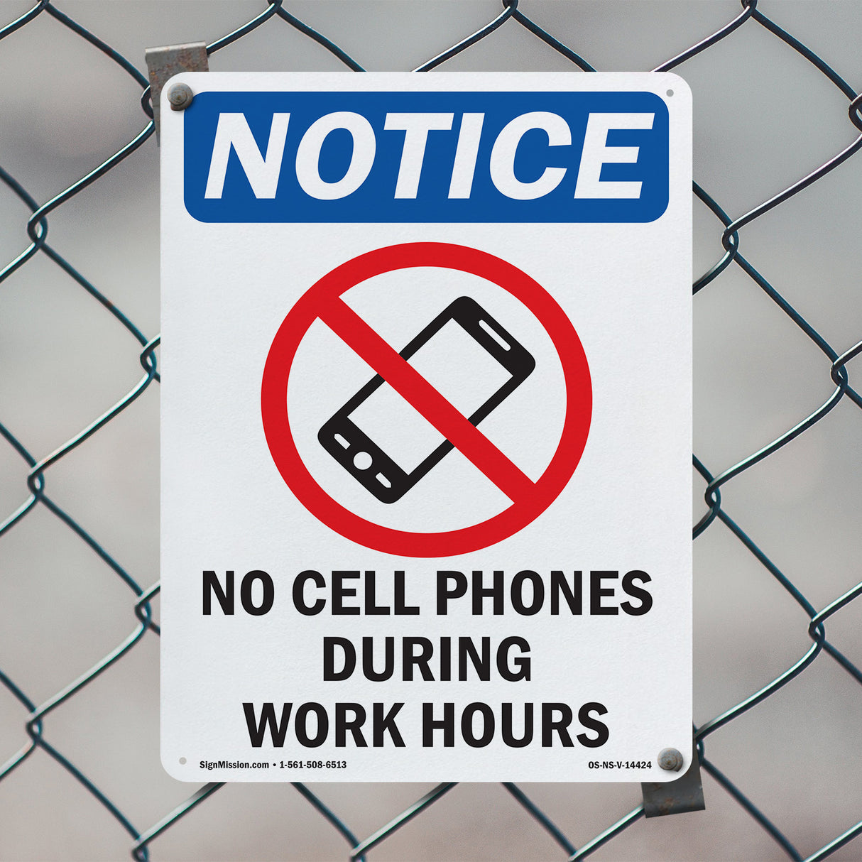 No Cell Phones During