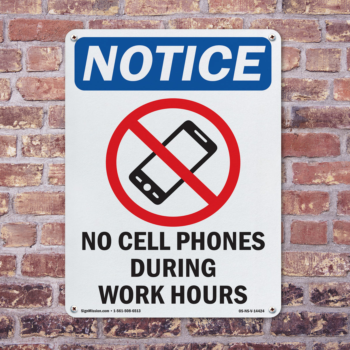 No Cell Phones During