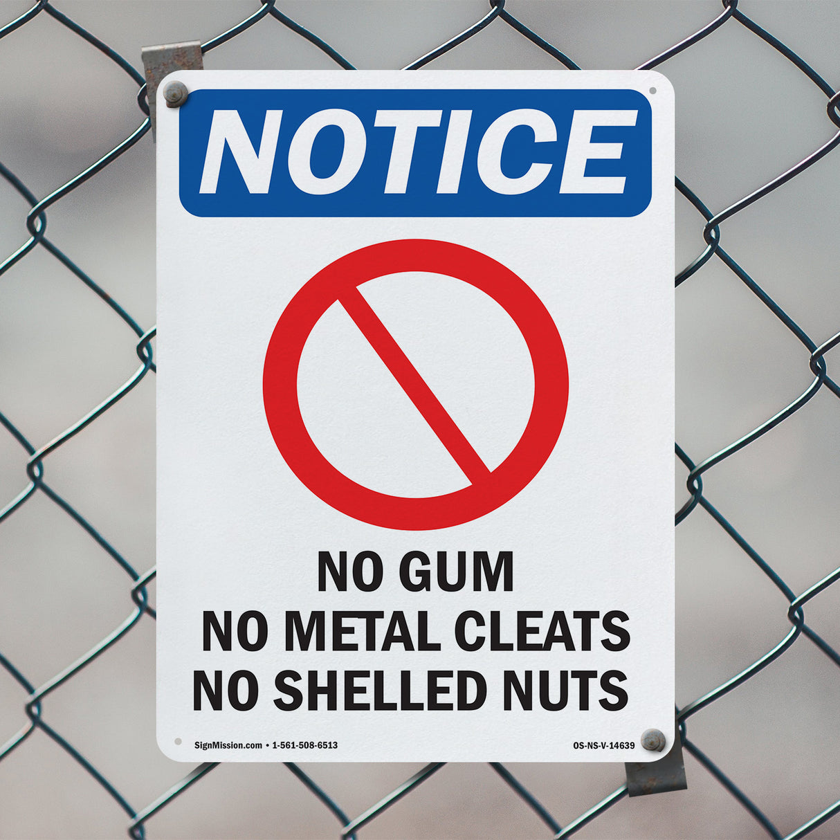 No Gum No Metal Cleats No Shelled Nuts