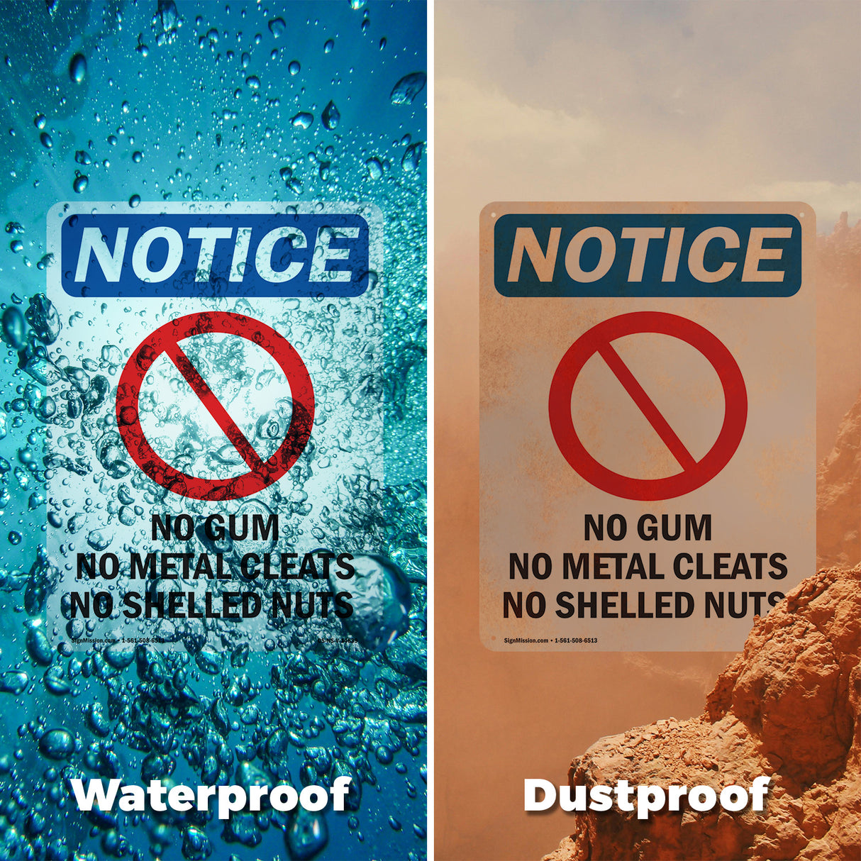 No Gum No Metal Cleats No Shelled Nuts