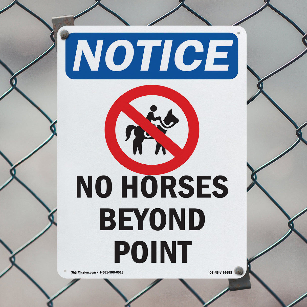 No Horses Beyond This Point