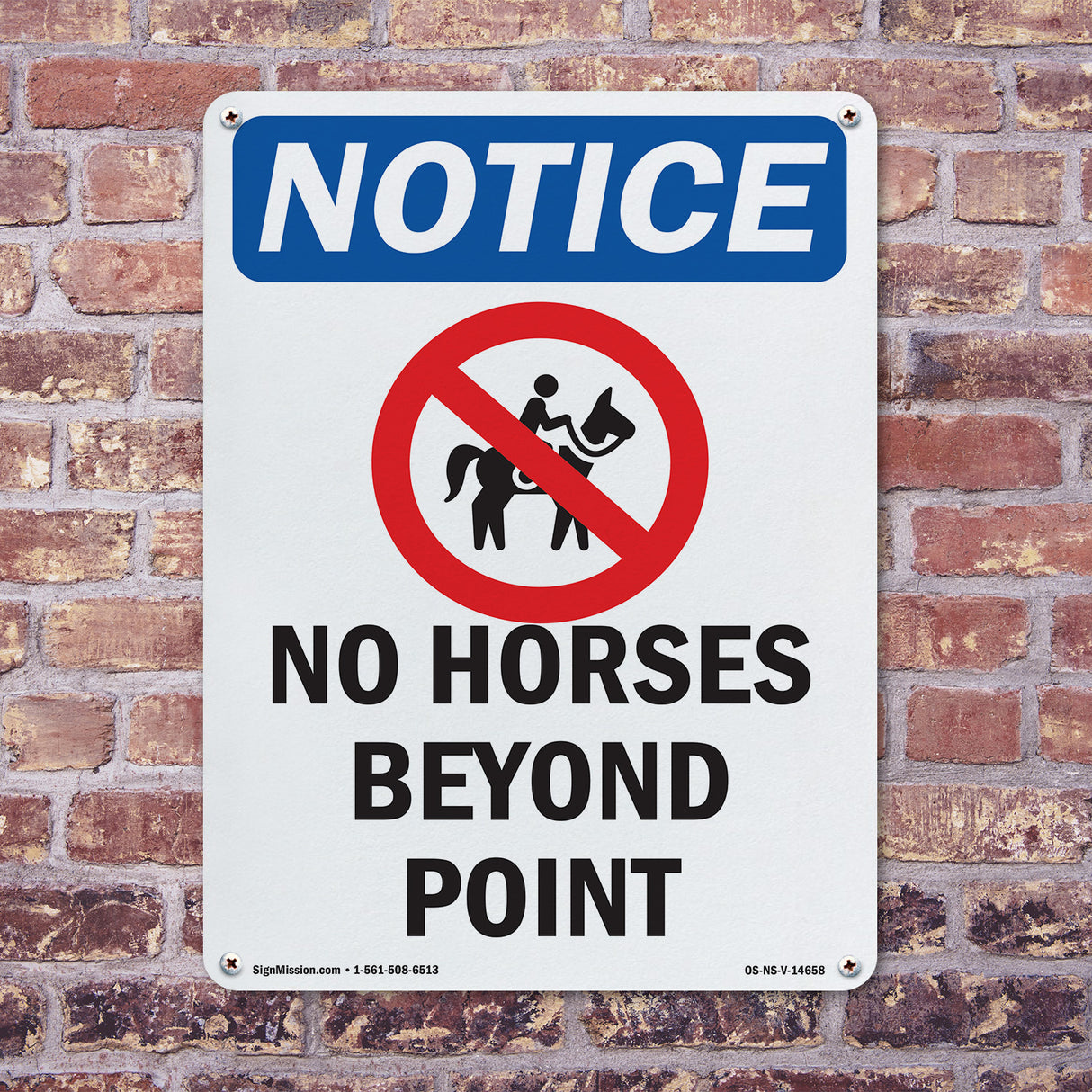 No Horses Beyond This Point