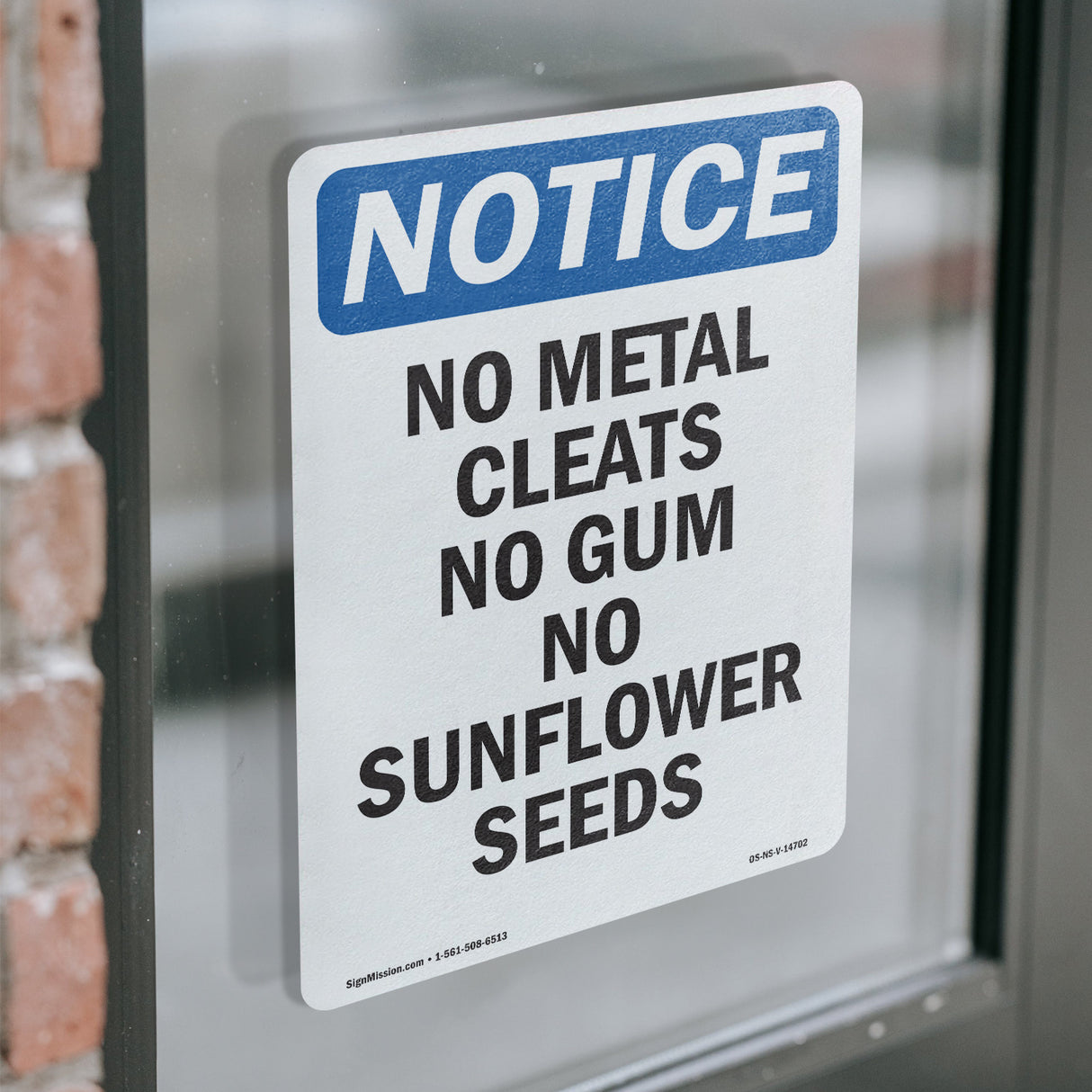No Metal Cleats No Gum No Sunflower Seeds