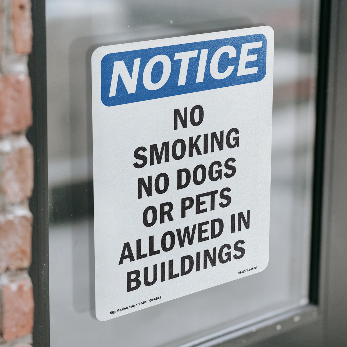 No Smoking No Dogs Or Pets Allowed In Buildings