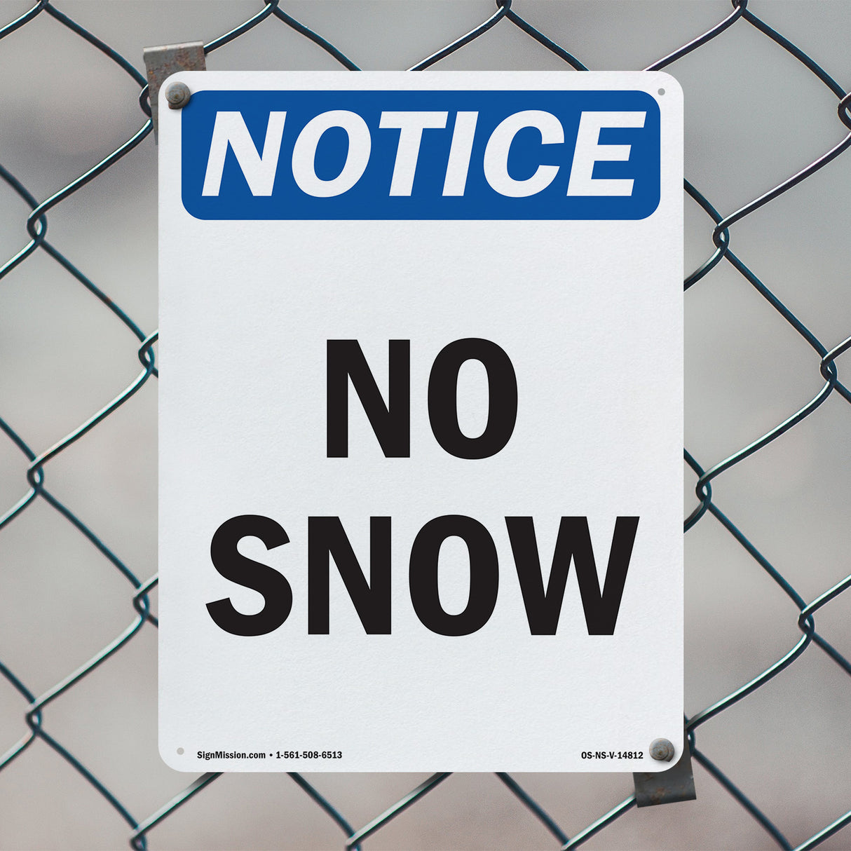 No Snow