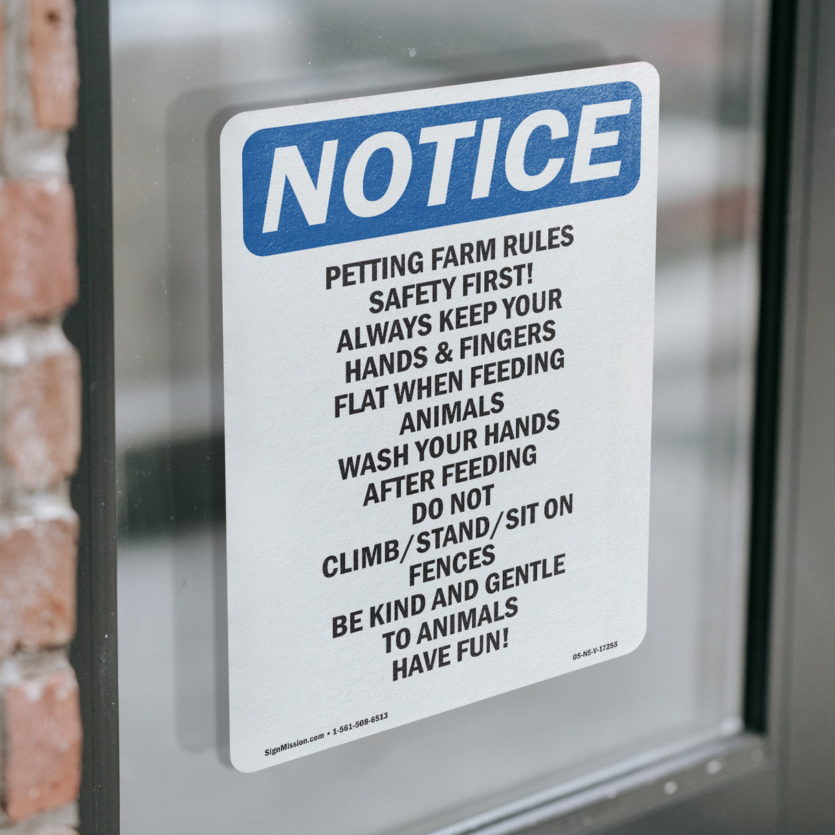 Petting Farm Rules Safety First Always