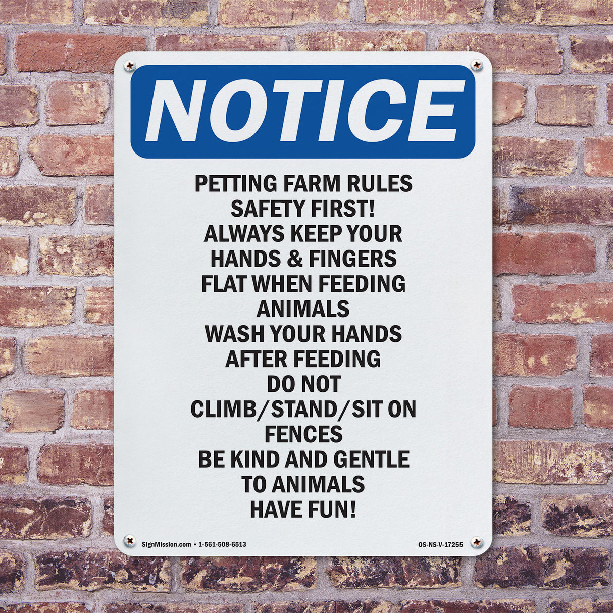 Petting Farm Rules Safety First Always