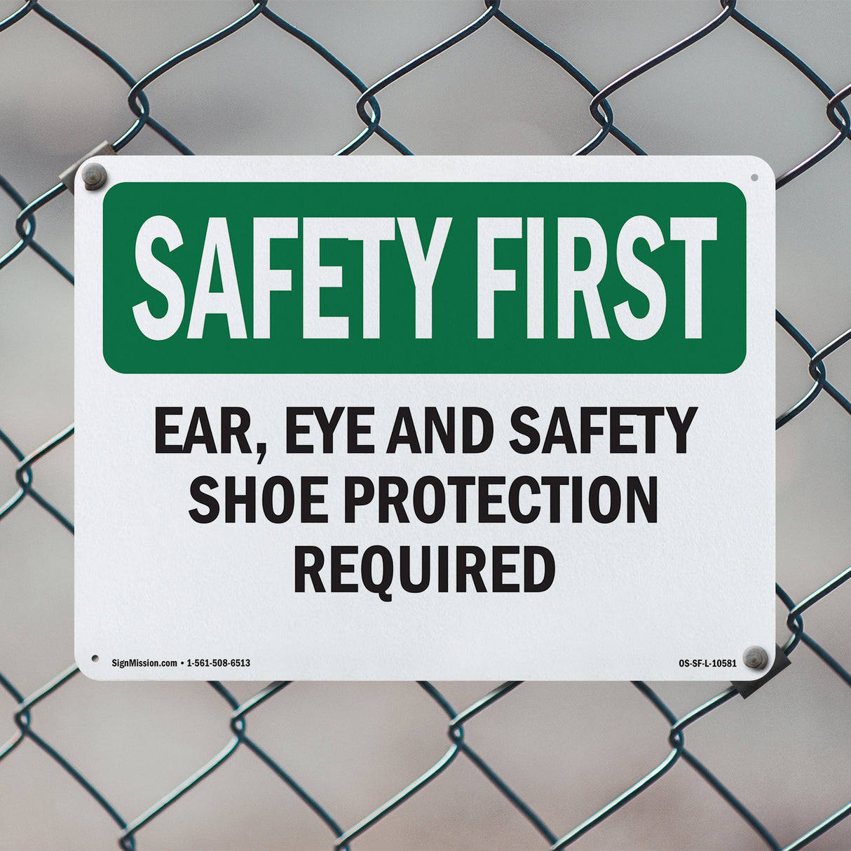 Ear, Eye And Safety Shoe Protection Required