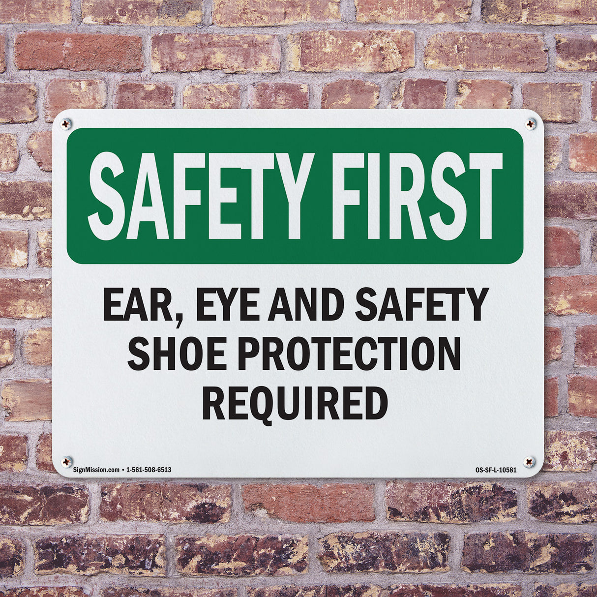 Ear, Eye And Safety Shoe Protection Required
