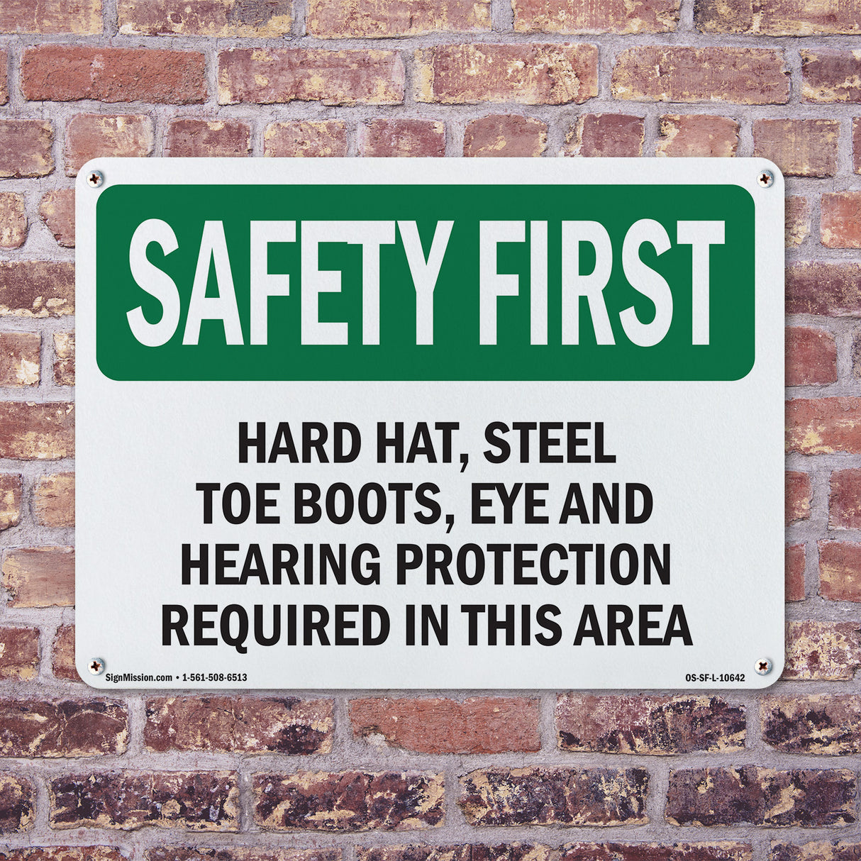 Hard Hat, Steel Toe Boots, Eye And Hearing