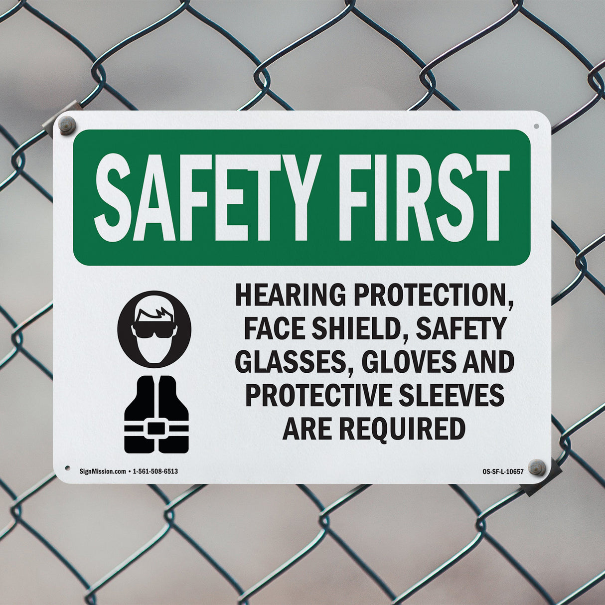 Hearing Protection, Face Shield, With Symbol