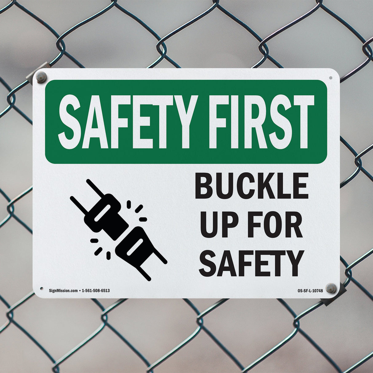 Buckle Up For Safety Bilingual