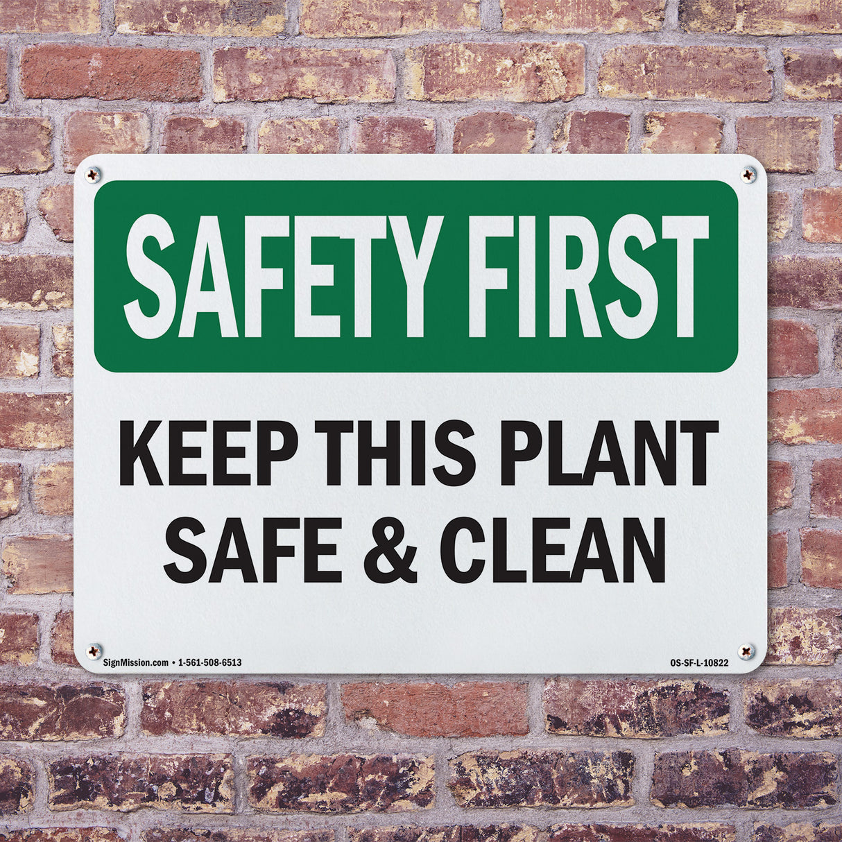 Keep This Plant Safe And Clean