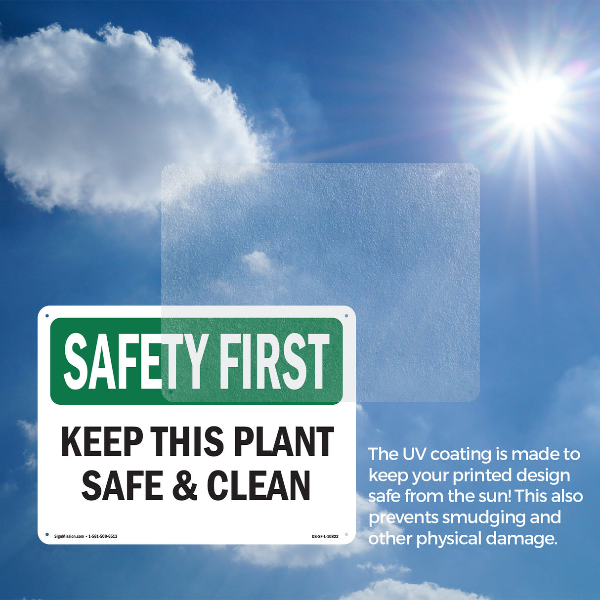 Keep This Plant Safe And Clean