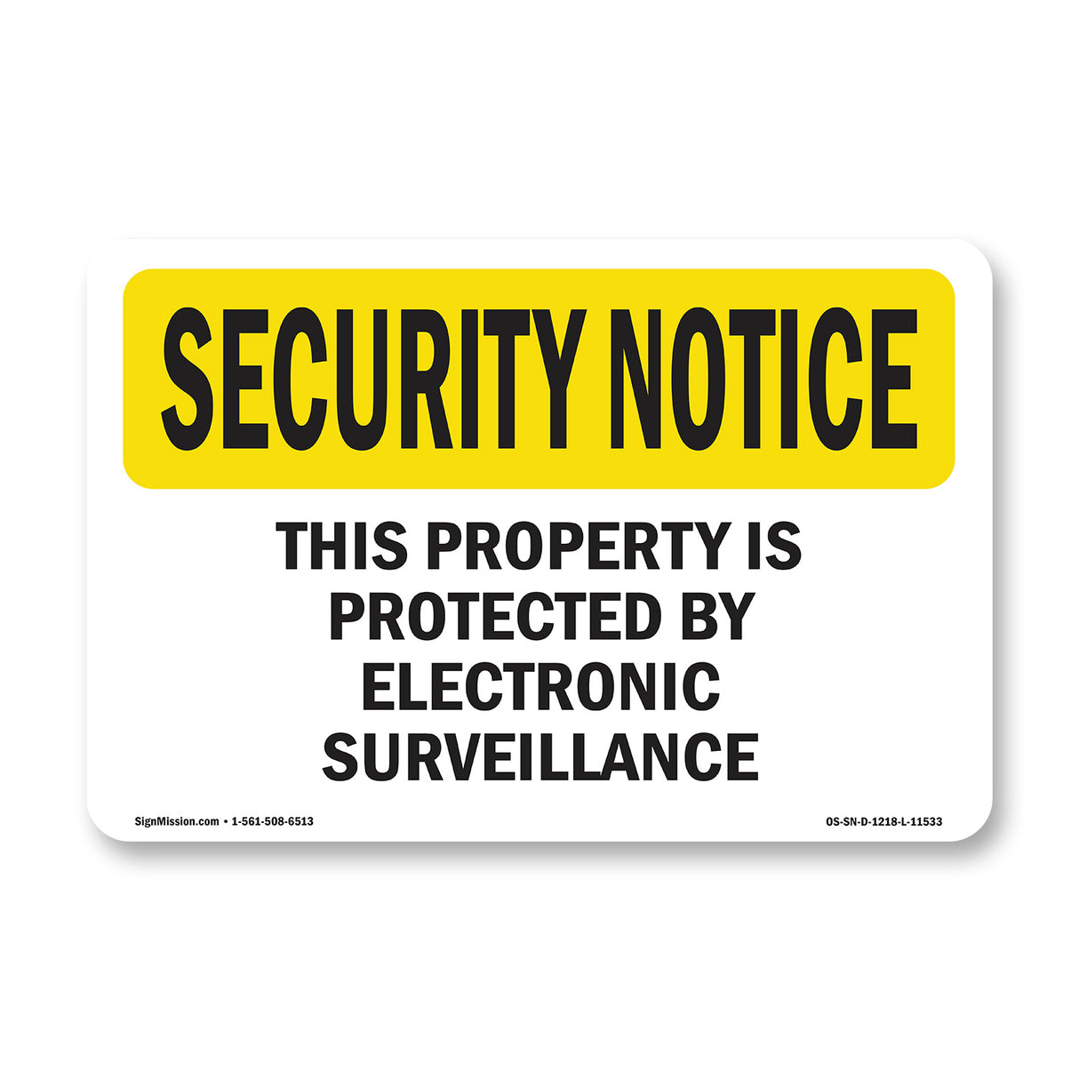 Electronic Surveillance