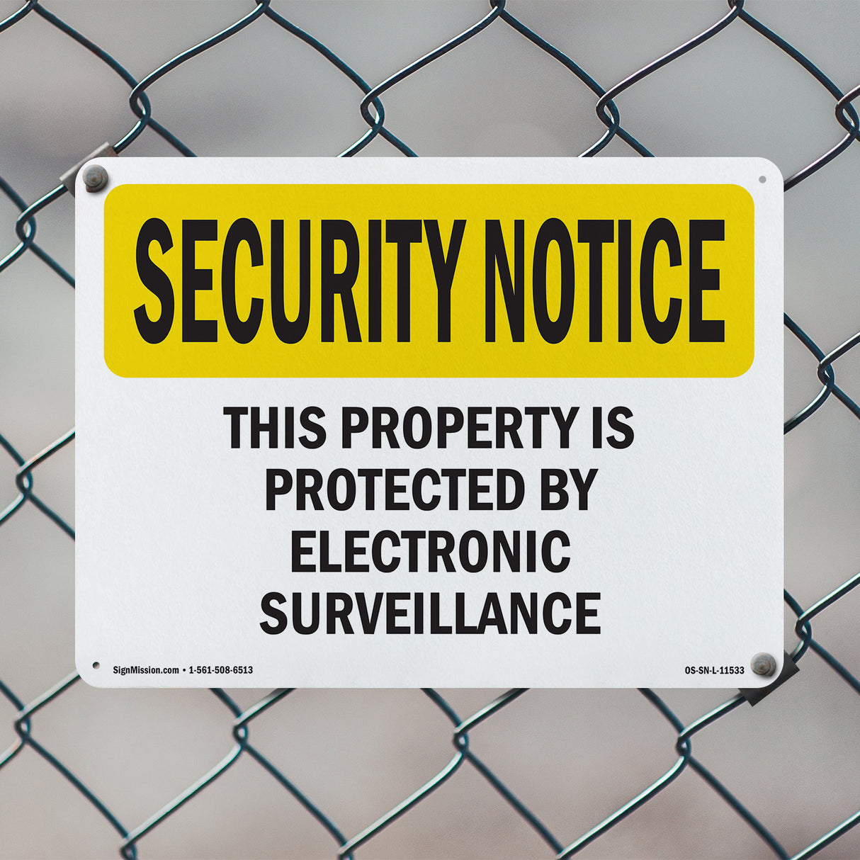 Electronic Surveillance