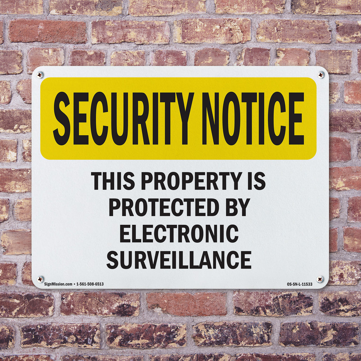 Electronic Surveillance