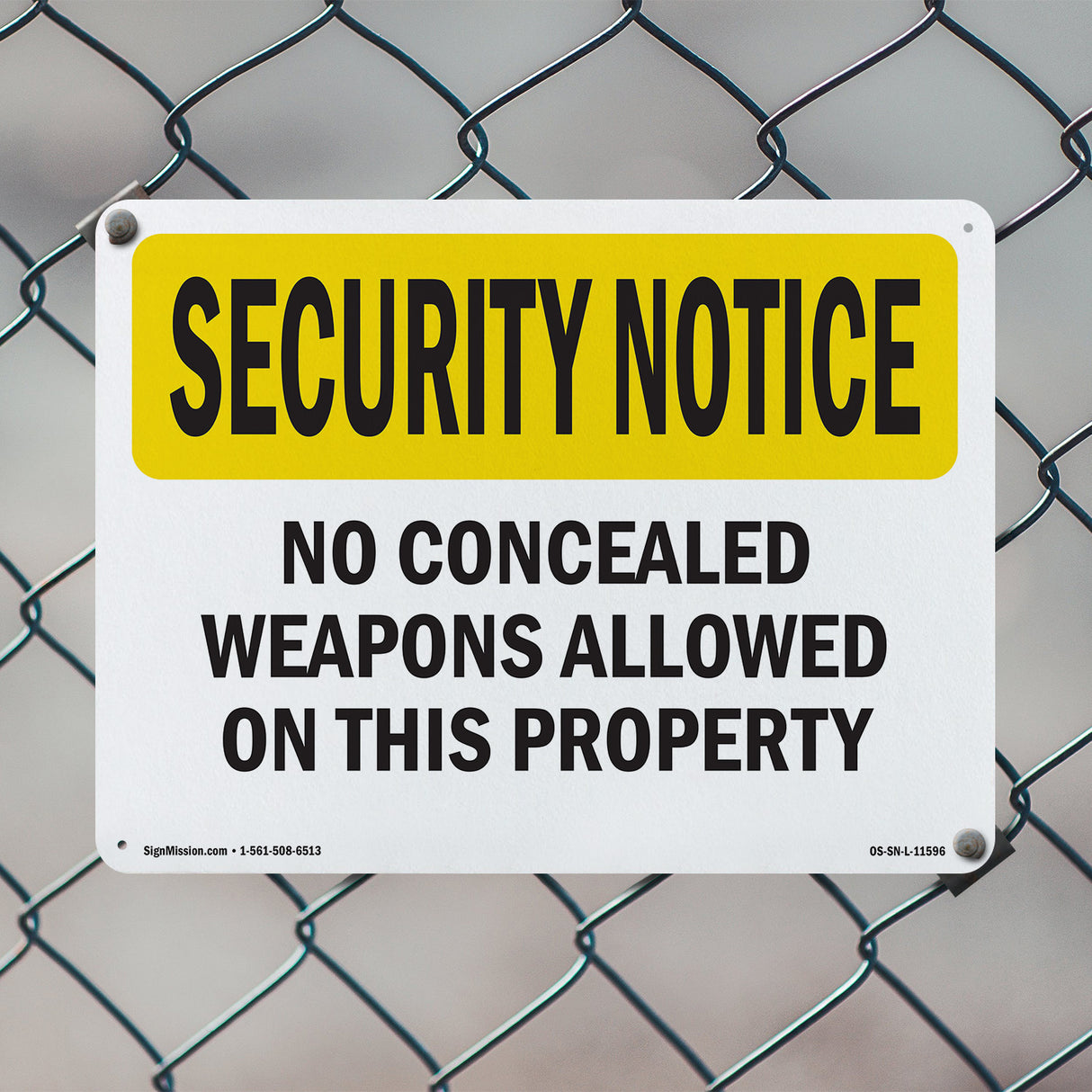 No Concealed Weapons On Property