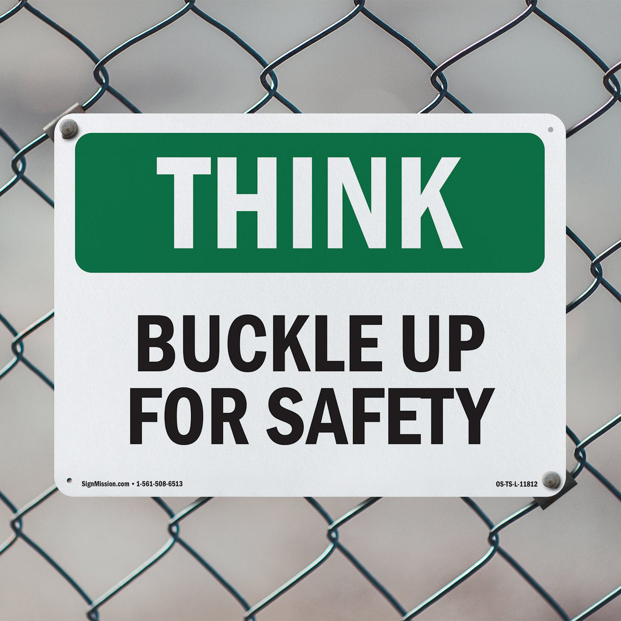 Buckle Up For Safety Bilingual