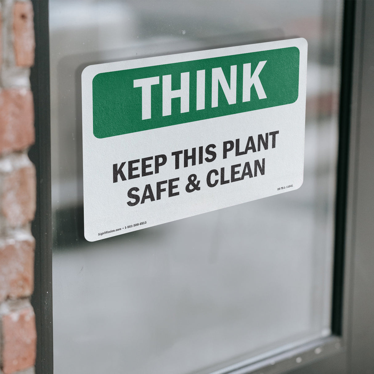 Keep This Plant Safe And Clean Spanish