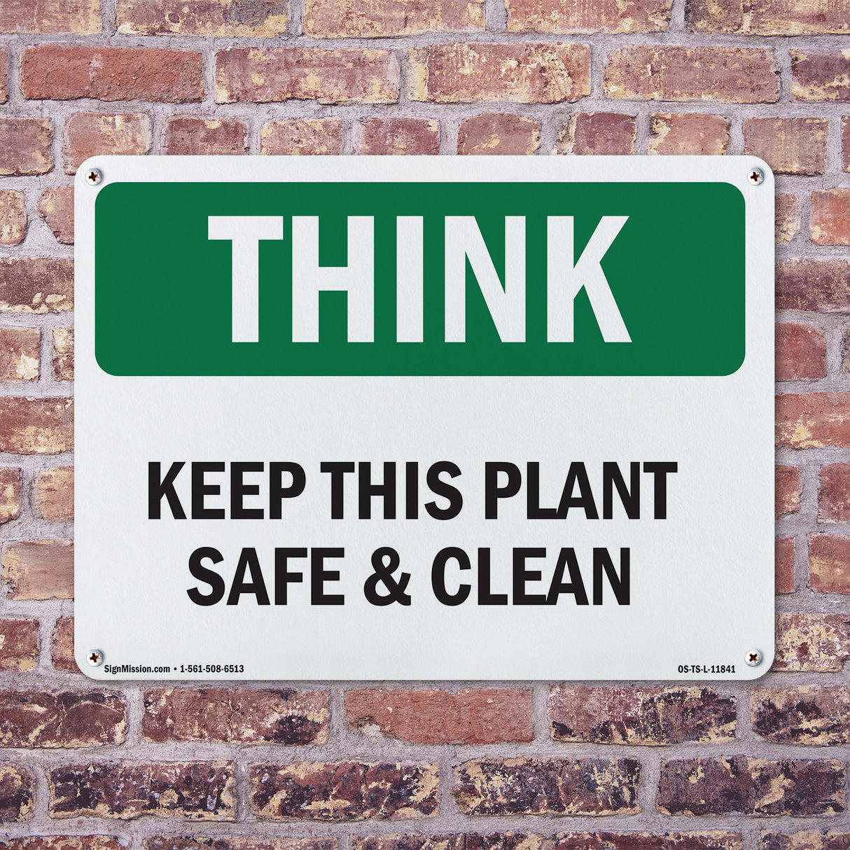 Keep This Plant Safe And Clean Spanish