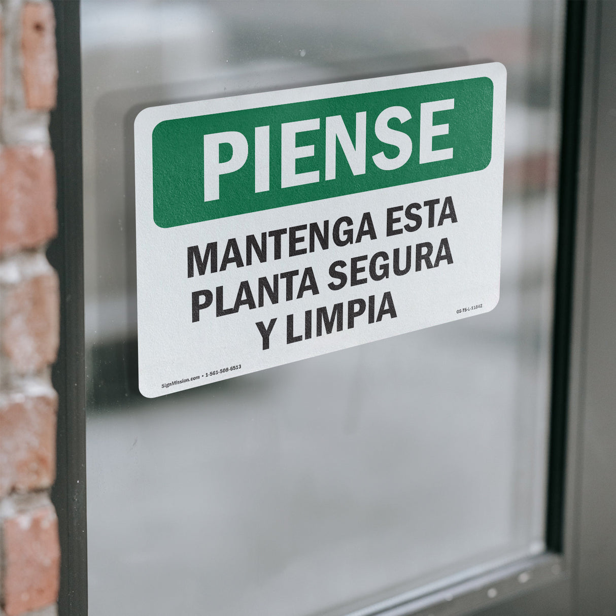Keep This Plant Safe And Clean Spanish