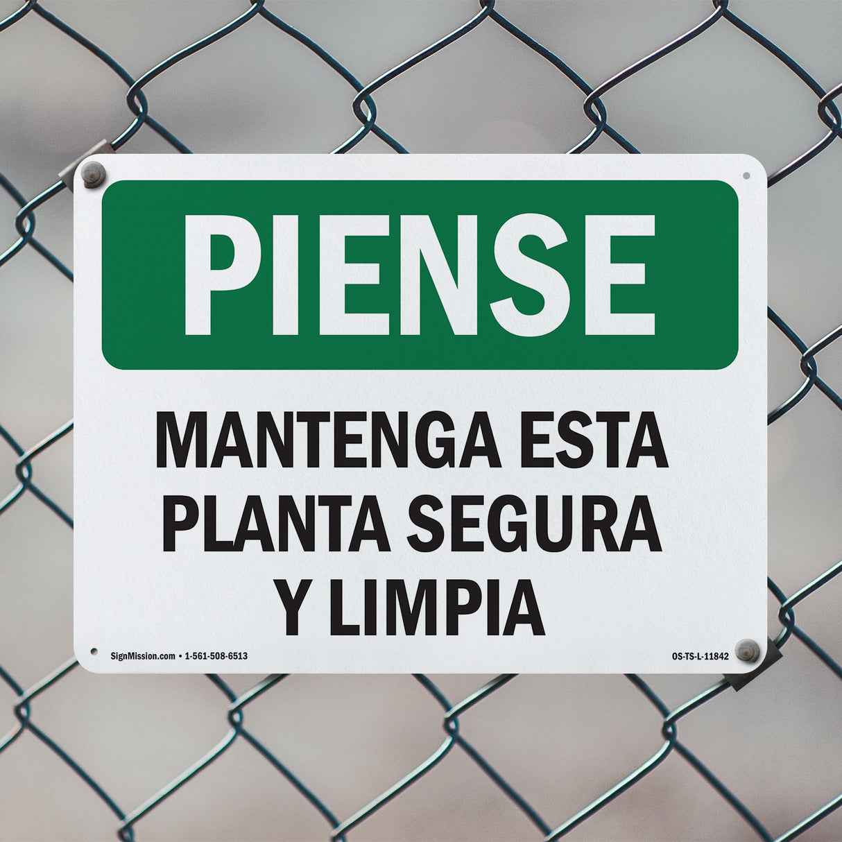 Keep This Plant Safe And Clean Spanish