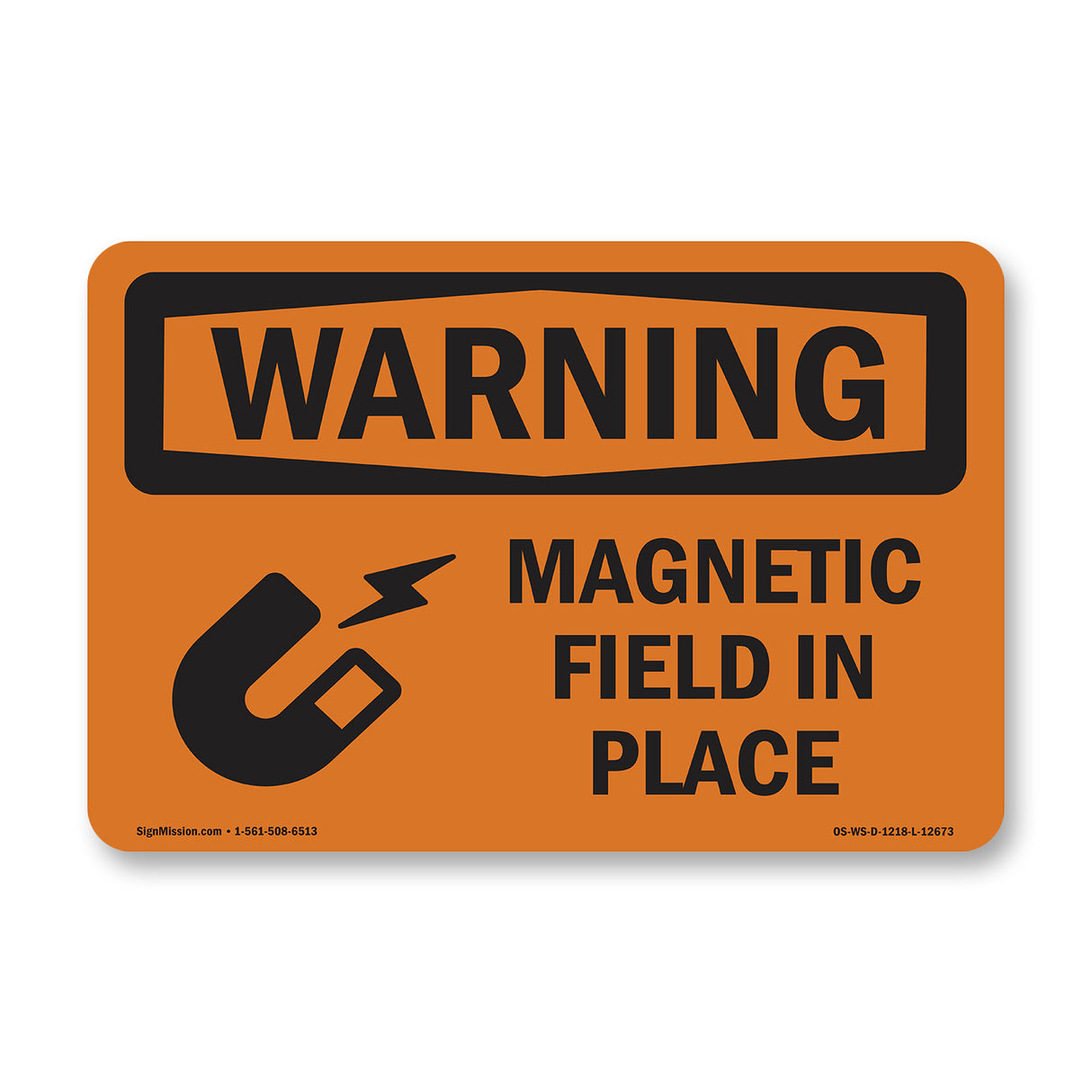 Magnetic Field In Place Bilingual
